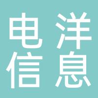 郴州电洋信息技术有限公司